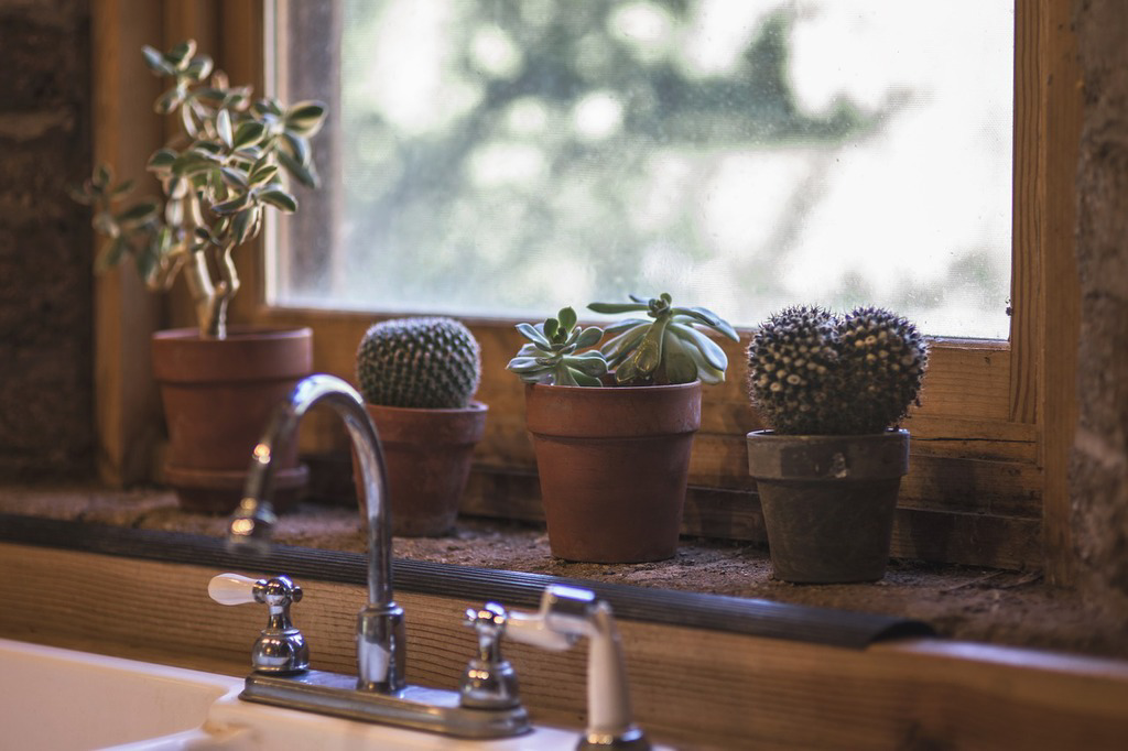 Water Ionizers: Countertop vs Under Counter