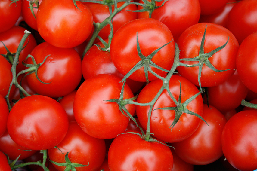 What Are Antioxidants?