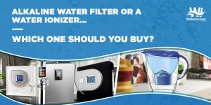 alkaline water filter