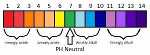 pH scale